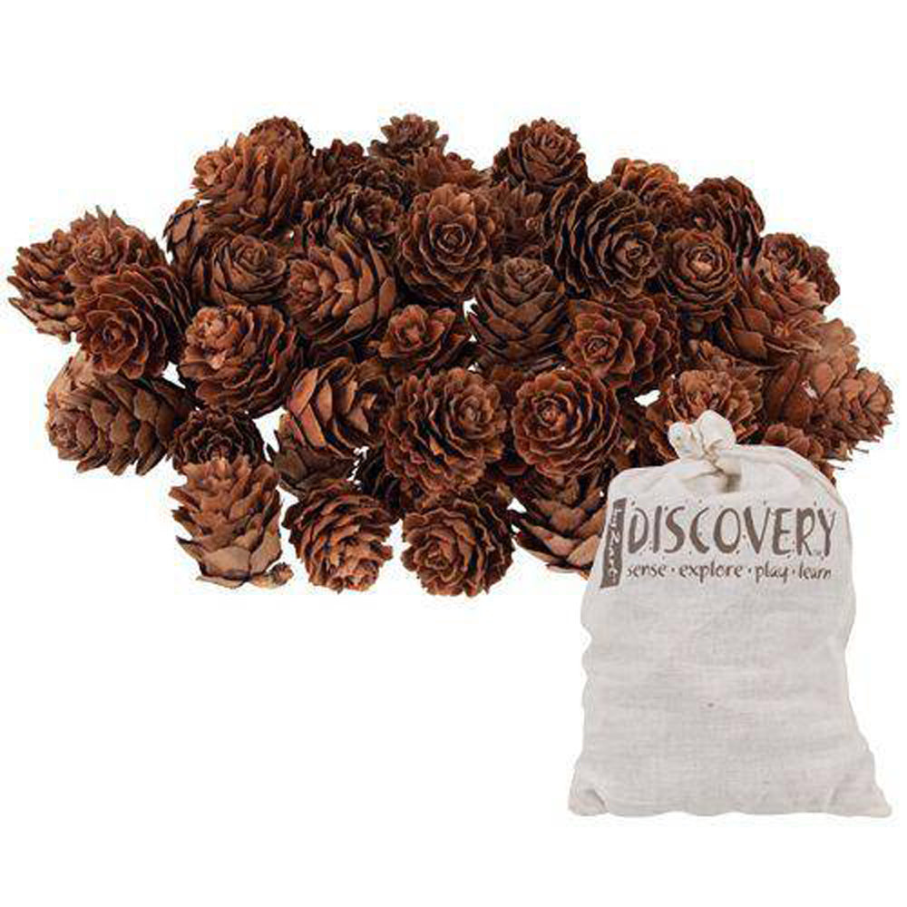 Mini Pine Cones 190g