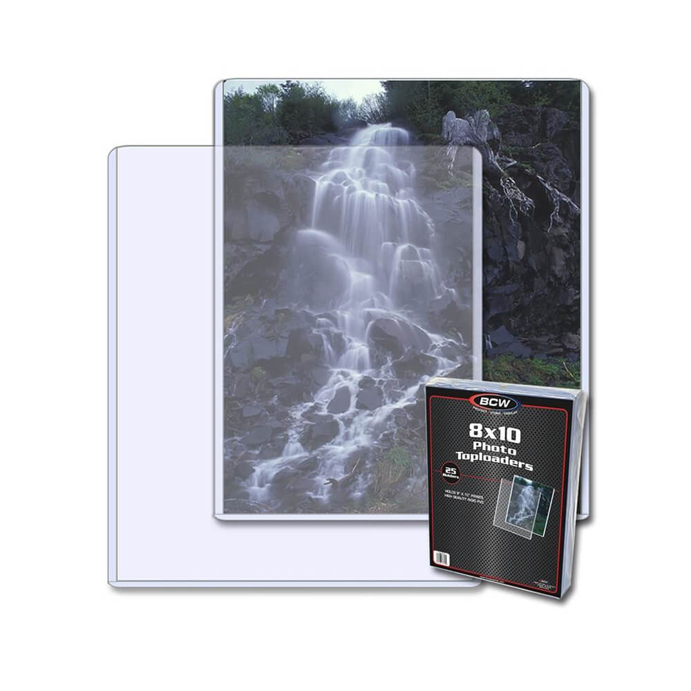 Foto des BCW Topload-Halters