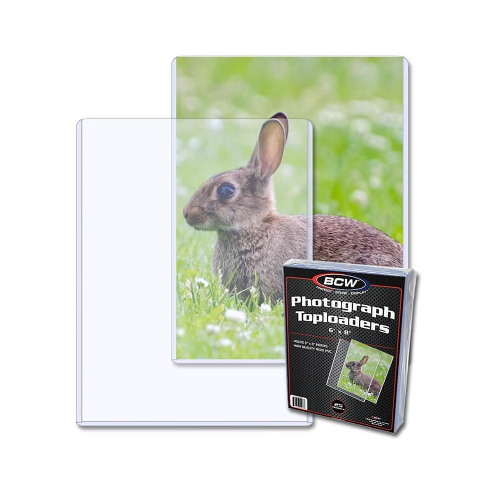 Foto des BCW Topload-Halters