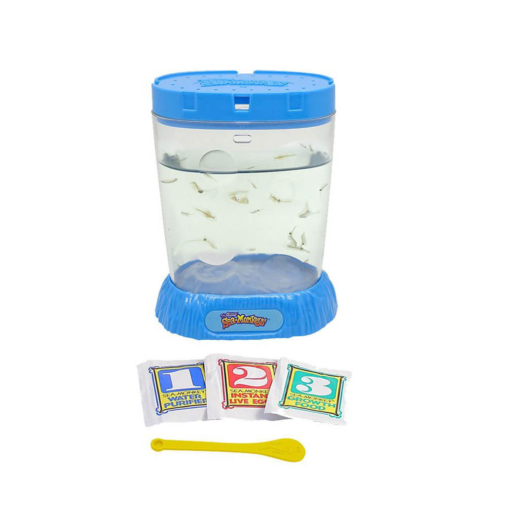 NEUE Erstaunliche lebende Seeaffen