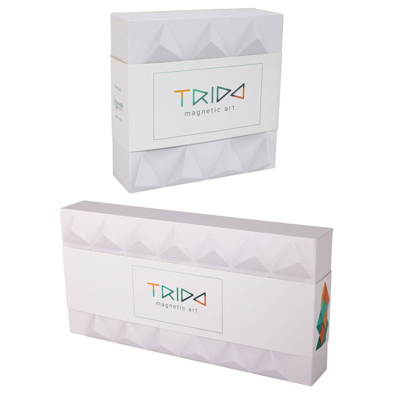Trido Laguna Magnetic Construction Kit
